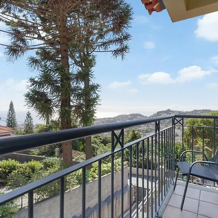 3b Heated Pool Barbecue Games *